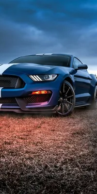 Закрытый сайт | Cool car wallpapers hd, Ford mustang wallpaper, Car  wallpapers