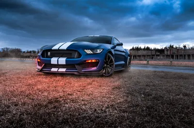 ford mustang, mustang, автомобиль, руль, салон - 🖼️ Красивые вертикальные  обои на телефон - FonMy.ru 🔥