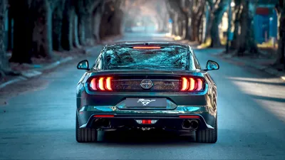 Ford mustang white and black 6 Generation | Мустанг, Ягуар, Форд