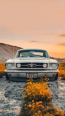 ford mustang, mustang, автомобиль, руль, салон - 🖼️ Красивые вертикальные  обои на телефон - FonMy.ru 🔥