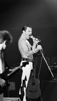 Freddie Mercury (Фредди Меркьюри) обои на телефон [35+ изображений]