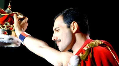 He Is The Champion : Freddie Mercury HD wallpaper | Freddie mercury tattoo, Queen  freddie mercury, Freddie mercury