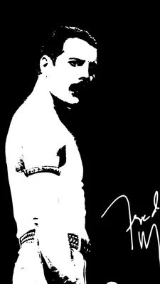 Freddie - Freddie Mercury Wallpaper (32602700) - Fanpop