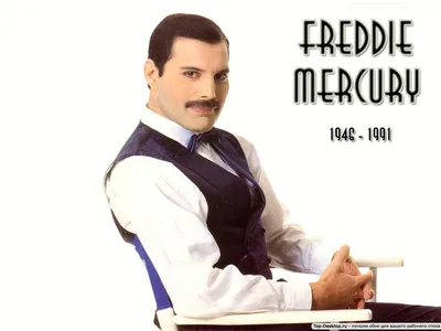 Freddie Mercury 💓 wallpaper | Freddie mercury, Queen band, Queens wallpaper