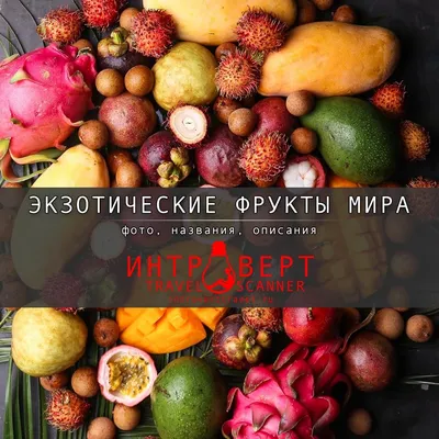 20 Бесплатных Карточек Фрукты на Узбекском | PDF