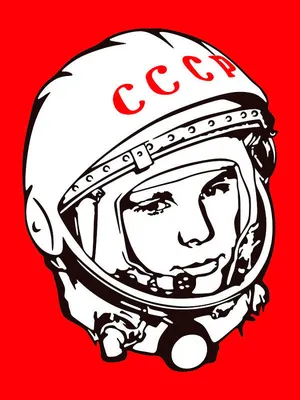 Details of Yuri Gagarin's tragic death revealed