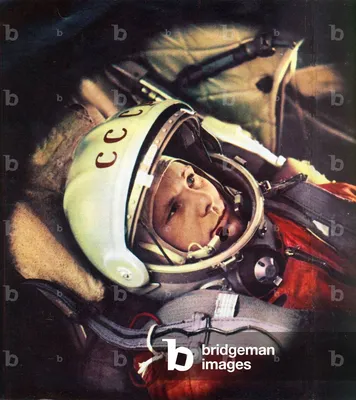 https://www.space.com/16159-first-man-in-space.html