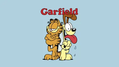 Обои Гарфилд / Garfield » Скачать красивые HD обои (картинки) на рабочий  стол (экран) и на телефон бесплатно