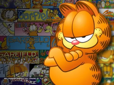 Обои Garfield на Desktop 1920x1080 Full HD