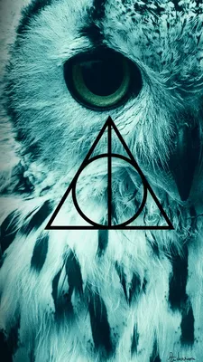 HD harry potter wallpapers | Peakpx