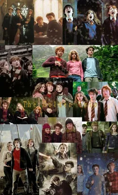 The Golden Trio обои на телефон | Harry potter, Harry potter wallpaper, Harry  potter films