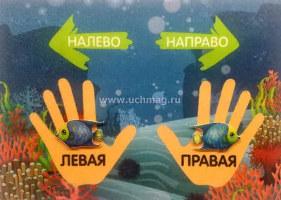 занятие право лево | Kids learning, Worksheets for kids, Learning stations