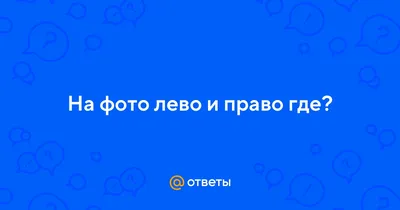 Книга Феникс Премьер Право лево верх низ тесты с наклейками купить по цене  233 ₽ в интернет-магазине Детский мир