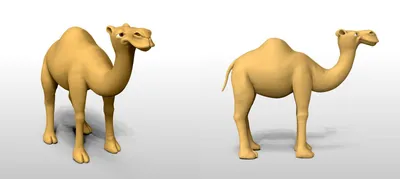 How to draw a camel / coloring Camel TOY for children / Coloring for Kids -  YouTube