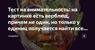 Биржа фрилансеров Таджикистана - Найдите верблюда. Ёбед уштурро.  #текстнавнимательность #вопрос #верблюд #уштур #найти #ёбед #савол |  Facebook