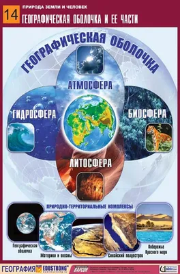 География. 10 класс. Углубленный уровень. Учебник - купить с доставкой по  выгодным ценам в интернет-магазине OZON (334203854)