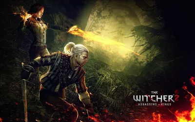 the witcher 3 wild hunt геральт: 2 тыс изображений найдено в Яндекс  Картинках