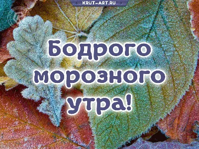 Пробуждение нежного... Гифки с добрым утром любовь моя, гифки страстные с добрым  утром! | Доброе утро, Любовь, Романтические цитаты