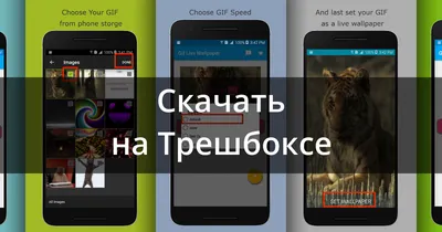 Как сделать видео обои на свой телефон - gadgetshelp,com