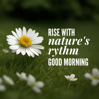 150 'Good Morning' Quotes to Start Your Day - Parade