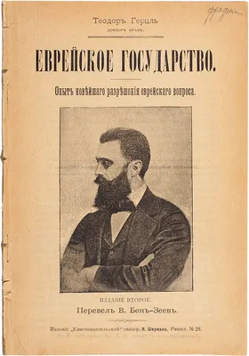 Как ненасилие защищает государство. Питер Гелдерлоос — Радикальная теория и  практика