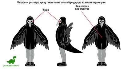 Раскраска грач . Картинка Грач. Раскраска без регистарции.