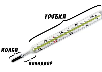 Почему в ртутном градуснике при охлаждении ртуть не уменьшается | Пикабу