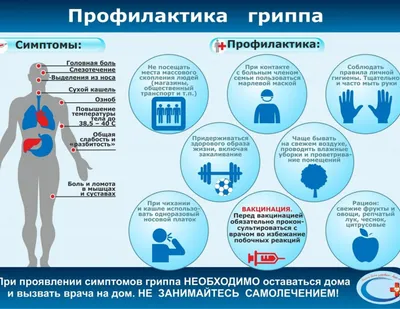 Грипп: самый полный гайд по лечению и профилактике - Лайфхакер