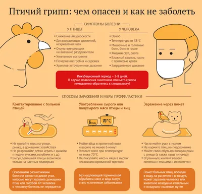 Типичные и нетипичные симптомы: чем свиной грипп отличается от коронавируса  | Вслух.ru