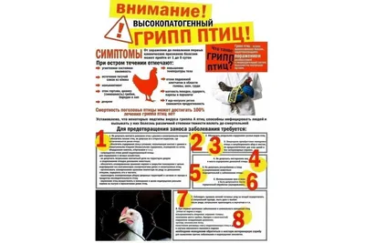 Основная информация: Грипп (вирус гриппа) - Справочник MSD Версия для  потребителей