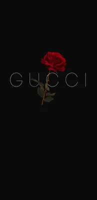 200+] Gucci Wallpapers | Wallpapers.com