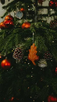 1080x1920 Christmas and Holiday Season Wallpapers for Android Mobile  Smartphone [Full HD]