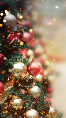 Wallpaper New Year, Christmas, Christmas Tree, Christmas Day, Christmas  Lights, Background - Download Free Image