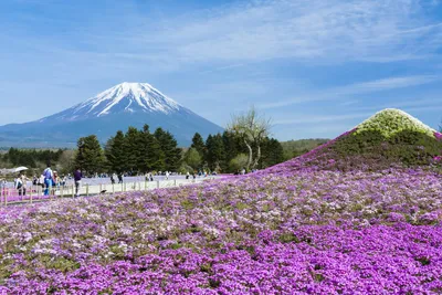 Япония | Japan | Все о Японии, описание страны, интересные факты, отзывы