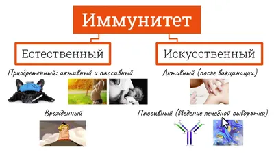 Всемирный День иммунитета 1 марта 2023 года – Московский областной центр  общественного здоровья и медицинской профилактики (МОЦОЗиМП)