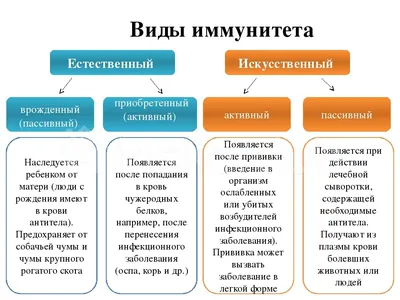 ⚕ Есть ли иммунитет у новорожденных?👼 - PULSE