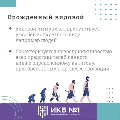 Книга Иммунитет. Все о нашем супероргане, работа которого не видна - купить  спорта, красоты и здоровья в интернет-магазинах, цены на Мегамаркет |