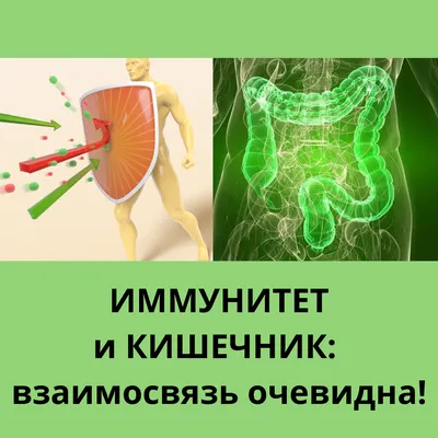 Иммунная система и иммунитет: как определить свое состояние? - Городская  клиническая больница 7 Казань - Официальный сайт