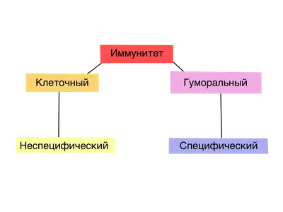 Для чего нам нужен иммунитет | Оренбургский областной центр общественного  здоровья и медицинской профилактики