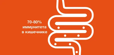 Чем кормить иммунитет? Топ продуктов для крепкого здоровья - Статьи и  лайфхаки от Деликатеска.ру