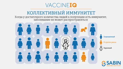 Как укрепить иммунитет