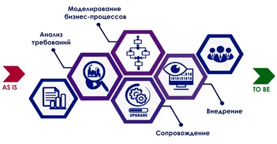 Специализация: теоретическая информатика — Новости — Образовательная  программа «Прикладная математика и информатика» — Национальный  исследовательский университет «Высшая школа экономики»