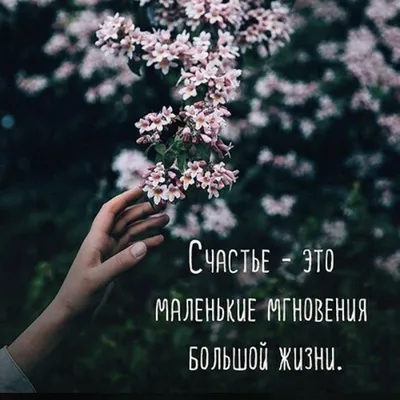 437 отметок «Нравится», 0 комментариев — Статусы со смыслом фразы мысли  (@citativk) в Instagram | Life quotes, Words, Quotations