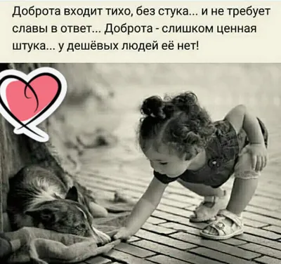 Картинки со смыслом (@korolevskie_misli) • Instagram photos and videos