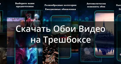 Живые обои на Android: как это установить? | Журнал