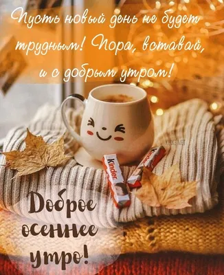 С добрым утром 💞 | Доброе утро, Вдохновляющие жизненные цитаты, Интересные  факты