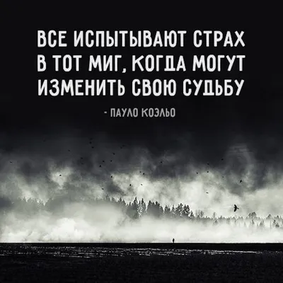 Интересные и мудрые цитаты о жизни со смыслом - подборка. часть 2 |  Развлечений Channel | Дзен