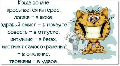 Цветы со смыслом: что означает их название? Инфографика | Природа |  Общество | Аргументы и Факты