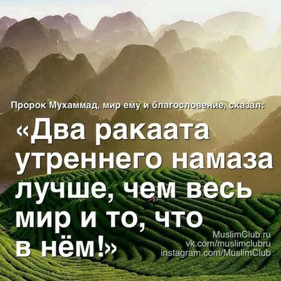 Викторина по «40 хадисам» имама ан-Науауи. 17-й хадис. 17 вопросов -  Islam.click