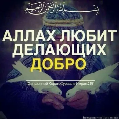 📖 ﷽ 🔝 Лайк ❤️ @mysli.dushi . . Распространите пж🙏 @mysli.dushi  @mysli.dushi @mysli.dushi ⭕Исламская группа⭕ ☘Извлекайте… | Instagram